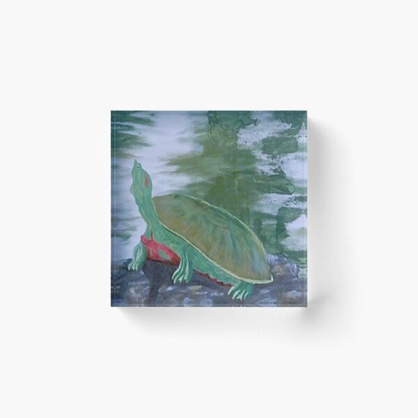 Item preview, Slider Turtle designed and sold by MissusSnarky.