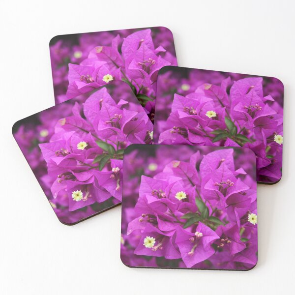 Item preview, Bouganvillia in Flower-A Christmas treat in Adelaide designed and sold by Andykinoz.