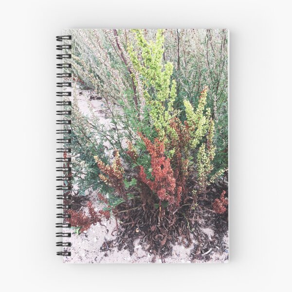 Item preview, Rural Wild Beach  designed and sold by Piia  Põdersalu.