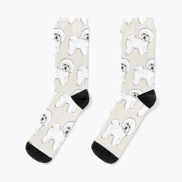 Bichon Frise on Cream Socks