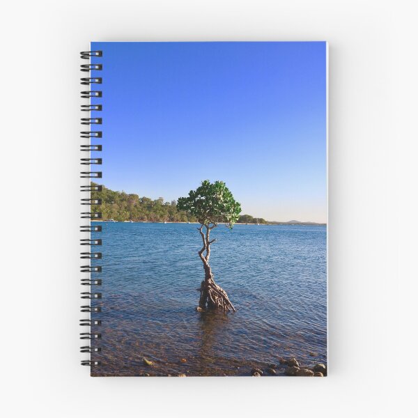 Item preview, Mangrove Tree, Seventeen Seventy, Qld Australia designed and sold by Bec Rose.