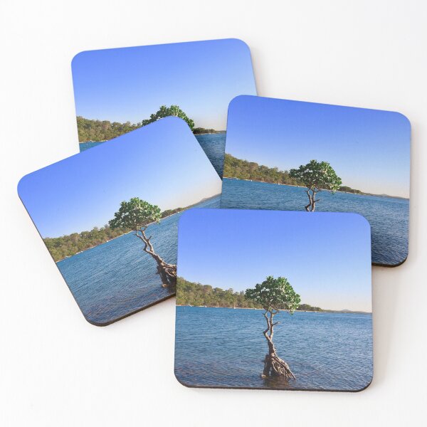 Item preview, Mangrove Tree, Seventeen Seventy, Qld Australia designed and sold by Bec Rose.