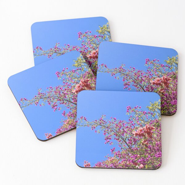Item preview, Flowers of 1770, Seventeen Seventy, Qld Australia designed and sold by Bec Rose.