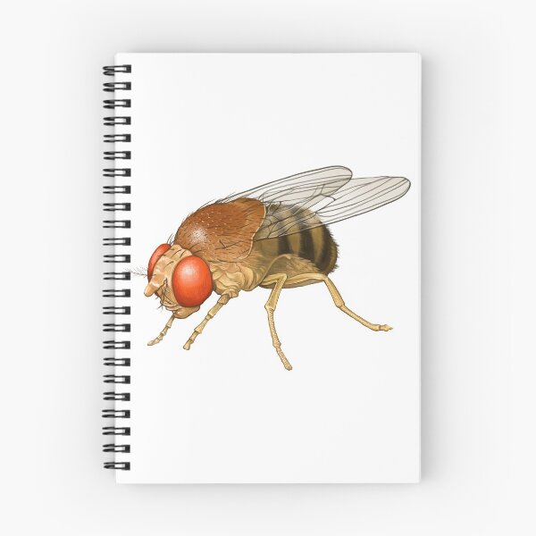 Item preview, Fly Insect Icon Hand painted Art designed and sold by greengoodnich.