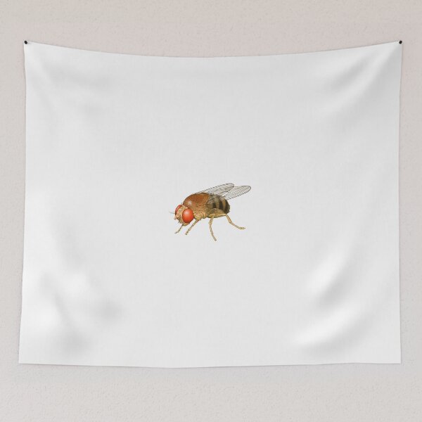 Artikelvorschau, Fly Insect Icon Handgemalte Kunst entworfen und verkauft von greengoodnich.