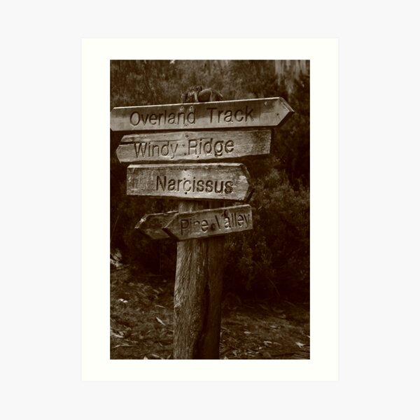 Pine Valley Art Print