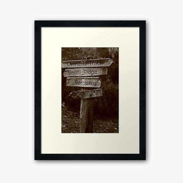 Pine Valley Framed Art Print