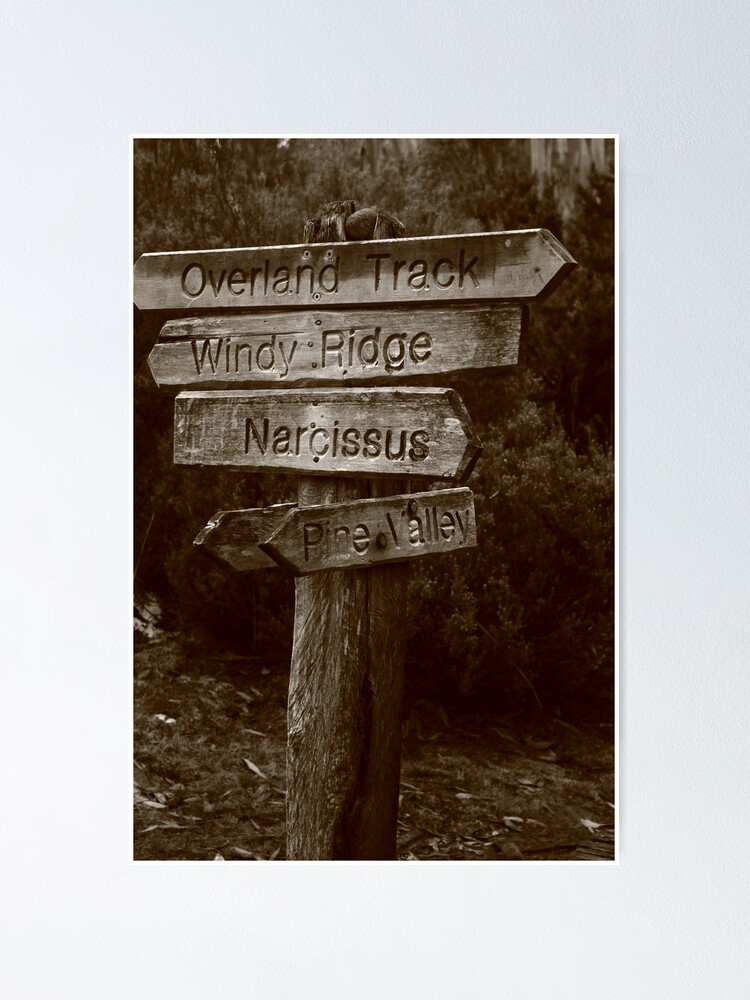 Alternate view of Pine Valley Poster