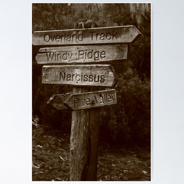 Item preview, Pine Valley designed and sold by phillip wise.