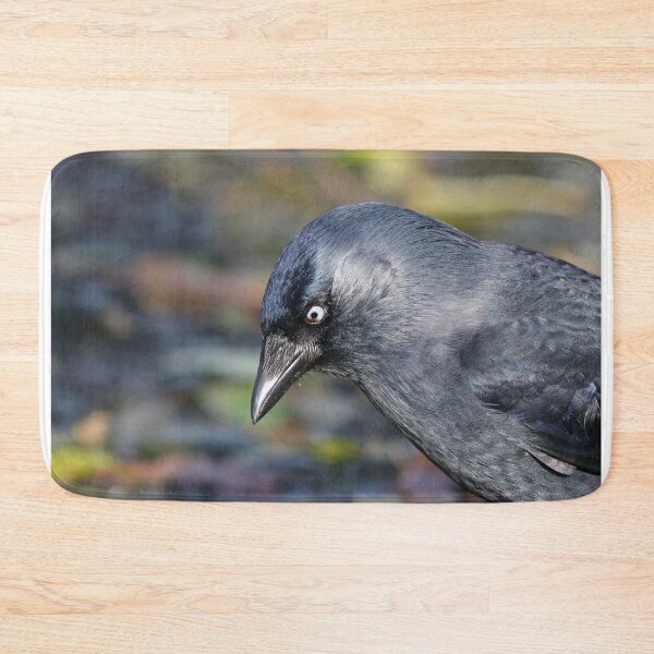 Item preview, Jackdaw with damaged eye designed and sold by GreyFeatherPhot.