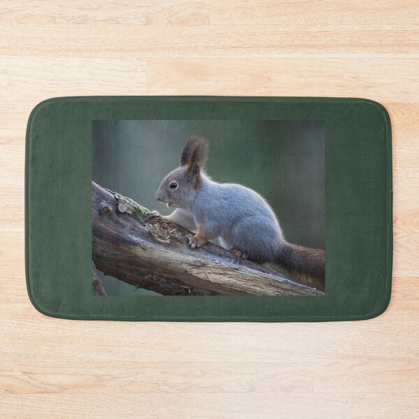 Item preview, Grey as the November light. Eurasian red squirrel designed and sold by Jouko Lehto Photography.