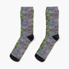 Ivy auf Holz Tapete Socken