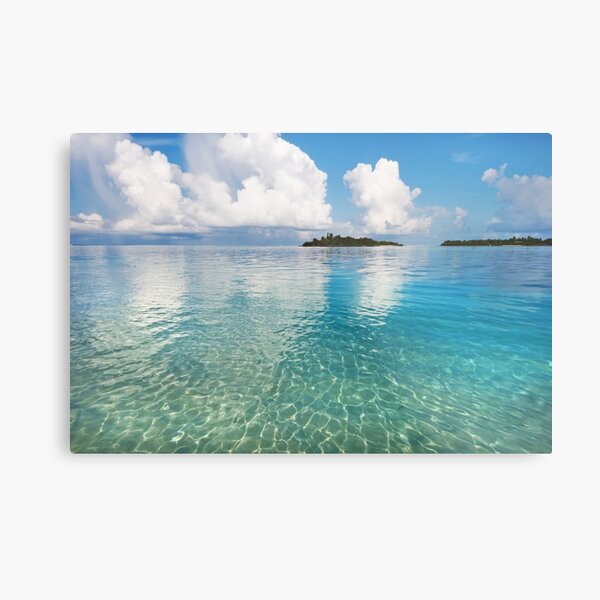 Sunny Invitation Metal Print