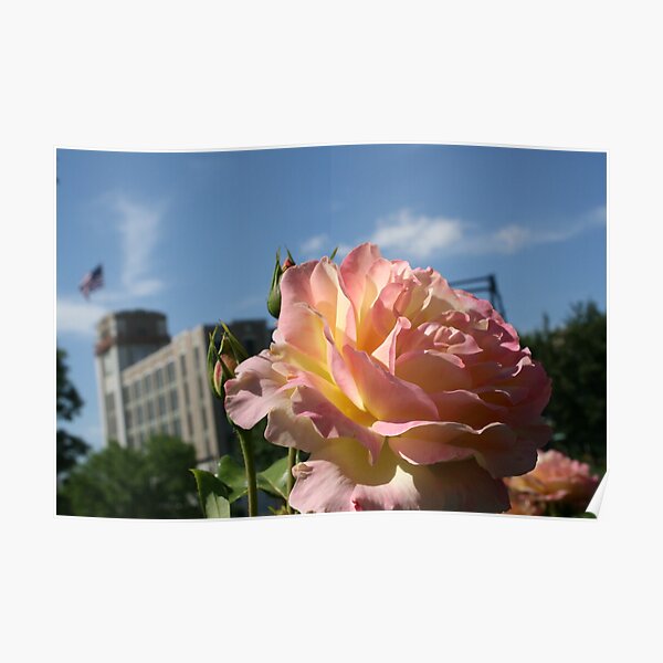 The Charlestown Garden, with History Standing Behind Poster