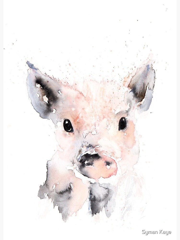 Baby Pig Painting - Watercolour Painting of a mini Pig by Syman Kaye&quot; Art Board Print by syman | Redbubble