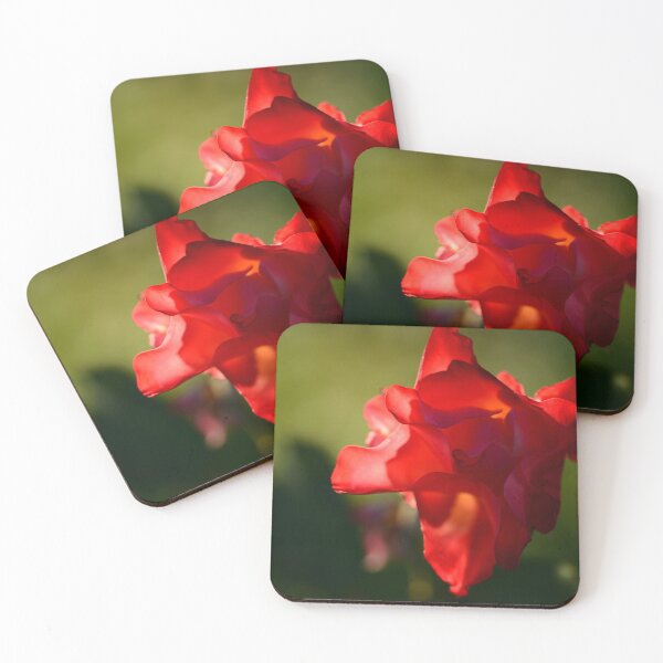 Item preview, Sun-Kissed Red Rose designed and sold by imaginethis.
