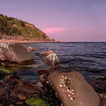 Imagen de la obra Sunset Rocks de AndyReeve