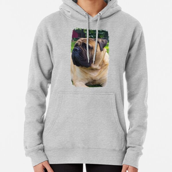 RAGGED RUGER Pullover Hoodie