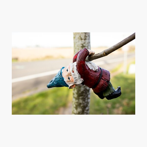 Tree Climber Gnome Photographic Print