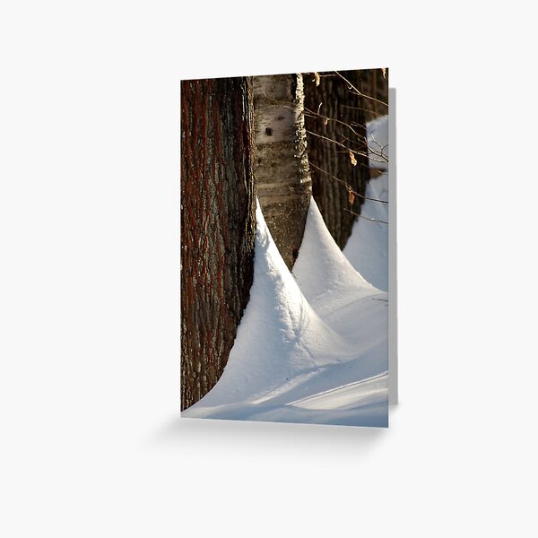 winter afternoon Greeting Card