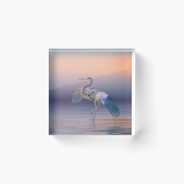 Item preview, Sunset Heron designed and sold by Brian Tarr.