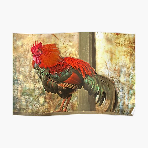 "Geeze! You're making my Feathers Stand on End !..." Poster
