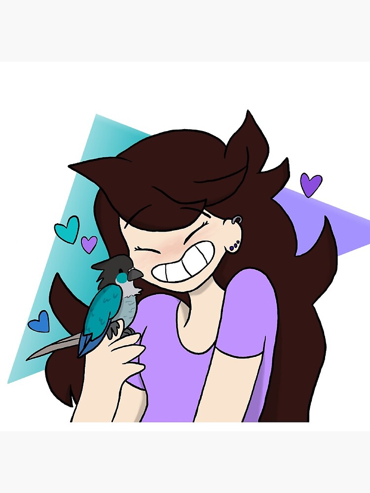 Jaiden Animations Pillow