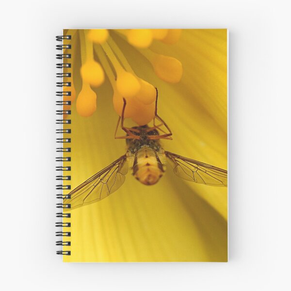 Item preview, Upside down or downside up? designed and sold by Susan Purveur.