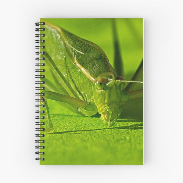 Item preview, Grasshopper designed and sold by Yannik Hay.