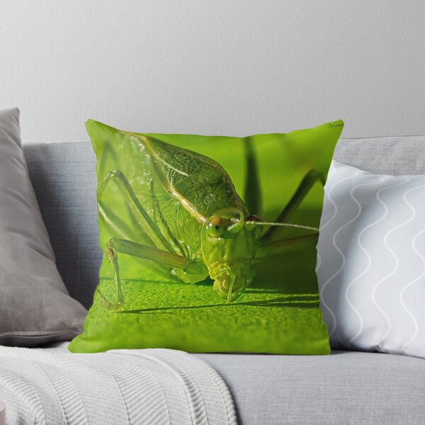 Item preview, Grasshopper designed and sold by Yannik Hay.