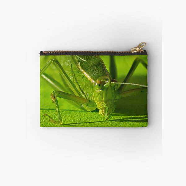 Item preview, Grasshopper designed and sold by Yannik Hay.