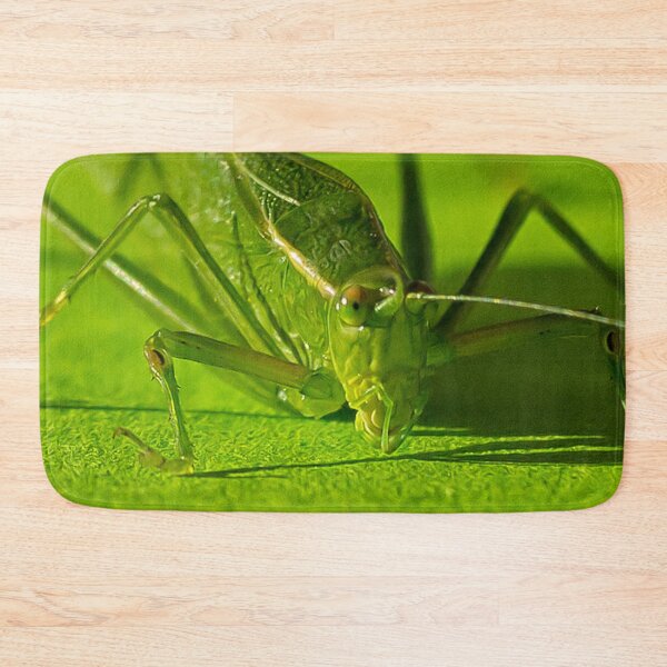 Item preview, Grasshopper designed and sold by Yannik Hay.