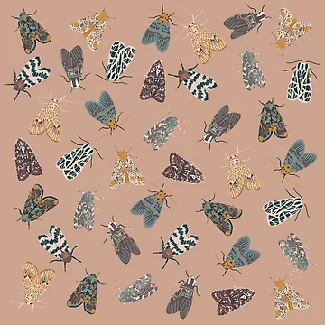 Artwork thumbnail, Detailed Moth Pattern Print by Arrow Krueger