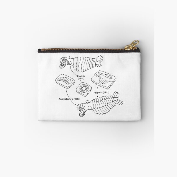 Item preview, Anomalocaris and Associated Fossils Black Line Drawing designed and sold by taylorcustom.