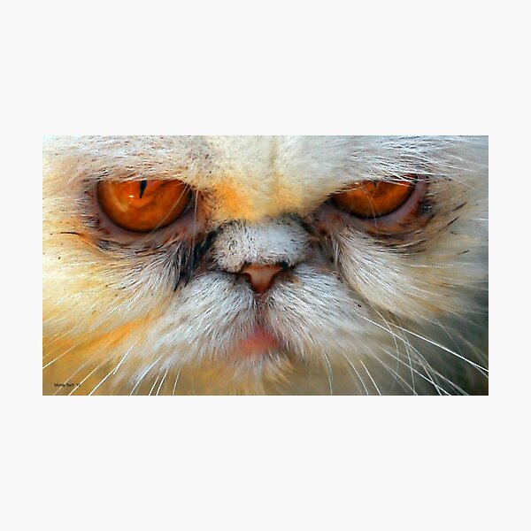 Scary Photographic Print