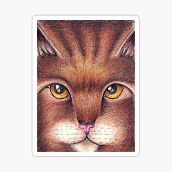 Brown Cat Portrait Sticker