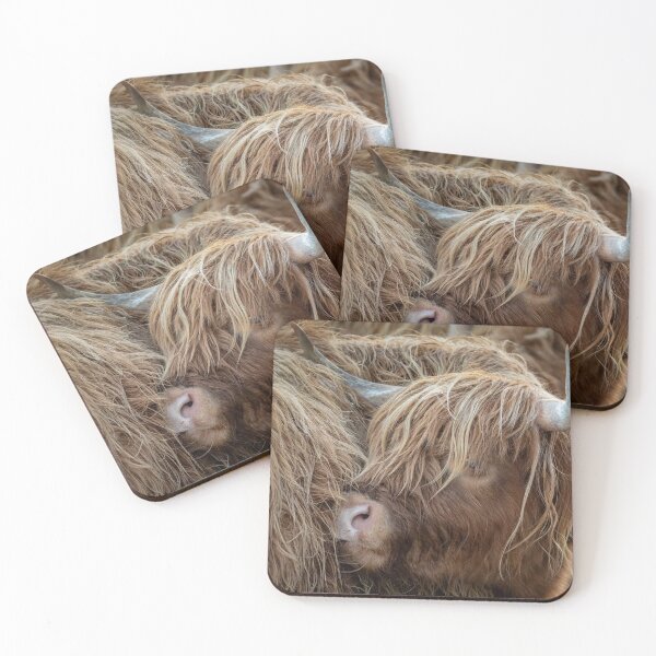 Item preview, 'Highland Cow Detail', near Kinloch Rannoch. designed and sold by mucklepawprint.