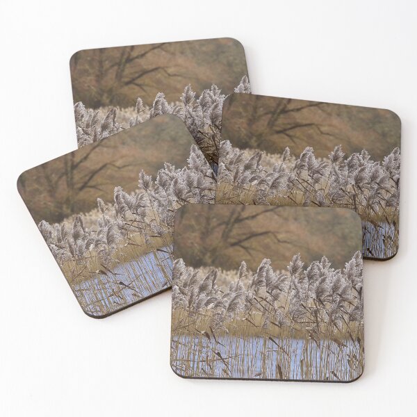 Item preview, Riverside walk in November  designed and sold by Bluesrose.