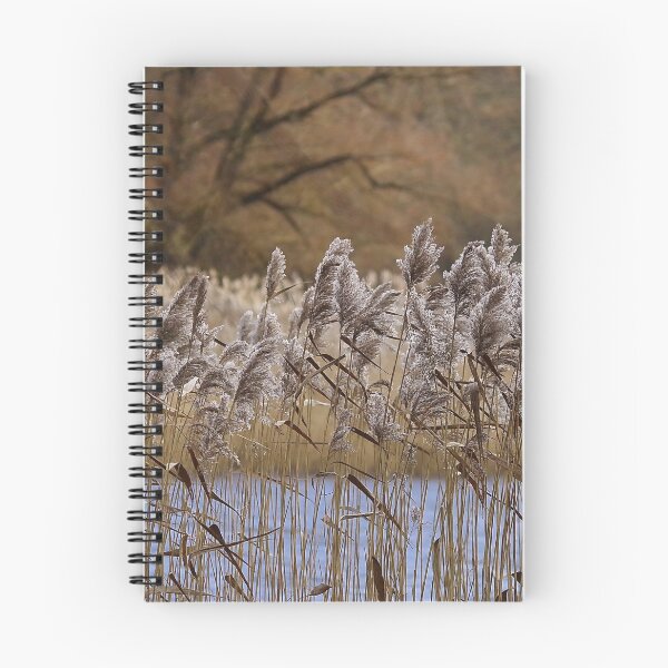 Item preview, Riverside walk in November  designed and sold by Bluesrose.