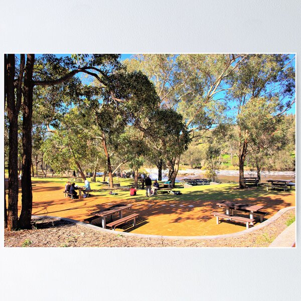 Item preview, Picnic area beside the fast flowing Swan River designed and sold by georgieboy98.