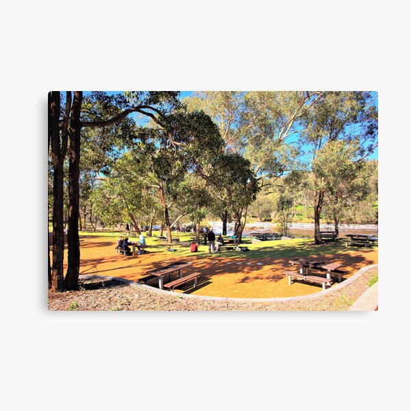 Item preview, Picnic area beside the fast flowing Swan River designed and sold by georgieboy98.