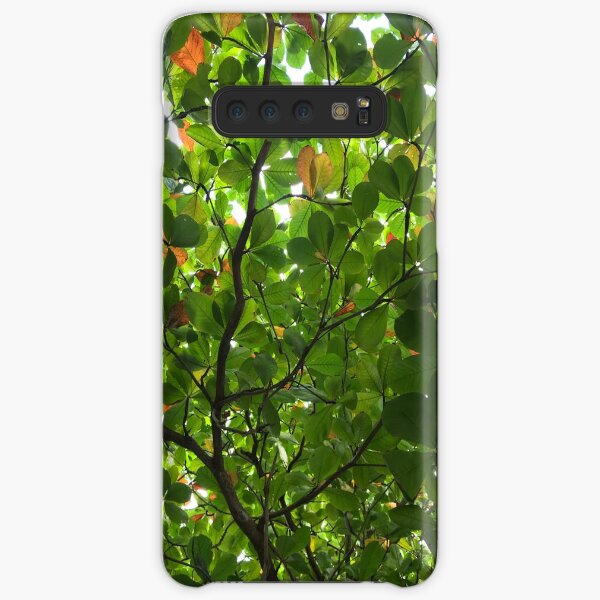 A Roof made of Leaves in Cancun Samsung Galaxy Snap Case