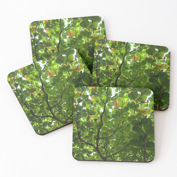 Item preview, A Roof made of Leaves in Cancun designed and sold by Christine  Wilson Photos.