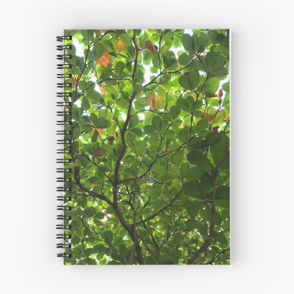 Item preview, A Roof made of Leaves in Cancun designed and sold by Christine  Wilson Photos.