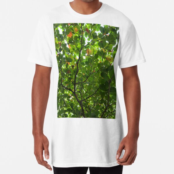 A Roof made of Leaves in Cancun Long T-Shirt
