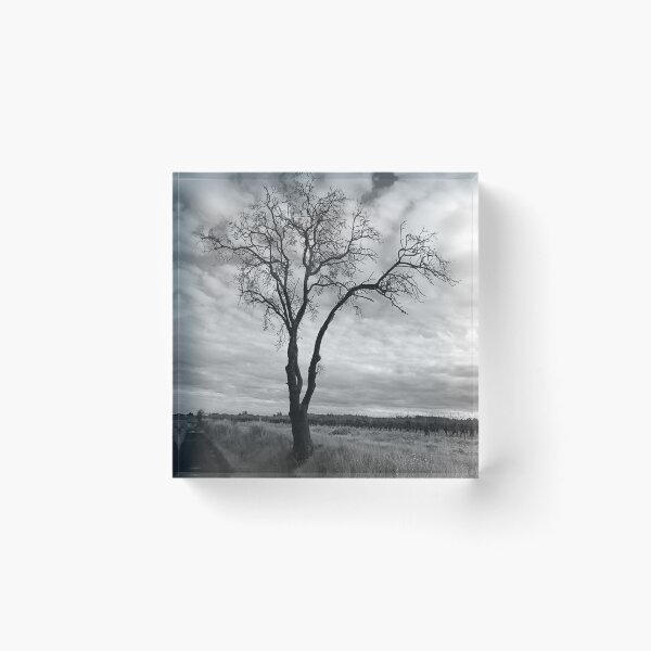 Item preview, Tree in winter. designed and sold by Paul Pasco.