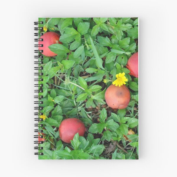 Artikelvorschau, Palmenfrucht entworfen und verkauft von Angel35.