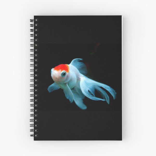 Item preview, White Goldfish designed and sold by WaterGardens.