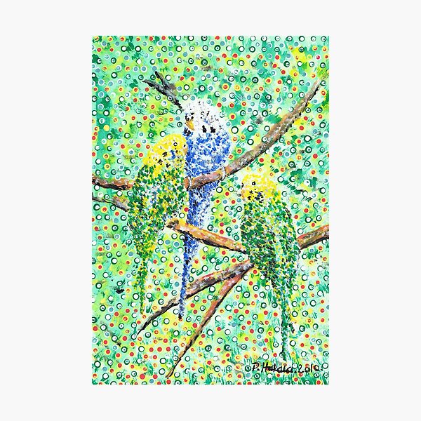 Budgies Photographic Print