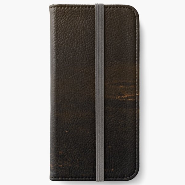 Walking on a Path to Nowhere iPhone Wallet
